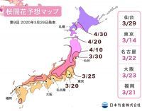 【桜開花予想2020】この1週間で、東日本・西日本から続々と開花の便りが届きました。開花前線は東北地方南部にまもなく到達する見込みです。（3月26日発表）