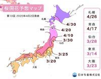 千鳥ヶ淵緑道の桜 花見特集21