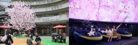 東京スカイツリータウン(R)の春休み・ＧＷイベント　～桜をイメージした東京スカイツリーの特別ライティングを点灯、桜モチーフの限定メニュー・スイーツも販売！～