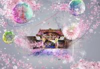 世界遺産・二条城桜まつり期間中の夜に、「NAKED FLOWERS」開催