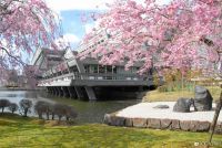 【ザ・プリンス 京都宝ヶ池】隣接する国立京都国際会館の桜鑑賞＆建築ガイドツアーを初開催　一般公開していない日本庭園で密を避け桜を楽しむ