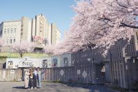 桜もエモさも「満開」の巻き込まれ体験 続々新登場！2022年も西武園ゆうえんちにライブの熱気がほとばしる！2022年3月5日（土）　新プログラムいよいよ開幕