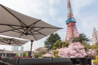 オープンエアなテラスレストラン等で楽しむ春の風物詩「桜まつり 2022」を開催【東京プリンスホテル】