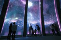 【横浜・八景島シーパラダイス】「＃はなパラ」シーパラならではのお花見体験