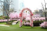 ​大名古屋ビルヂング開業6周年「サクラ 6周年アニバーサリー」のご案内