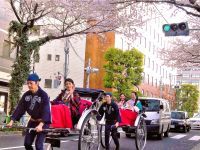 「人力車でさくら巡り~浅草・すみだ お花見人力車~」の販売開始
