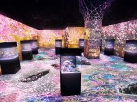 アクアパーク×ネイキッド、デジタルアートの桜舞い散る春限定イベント