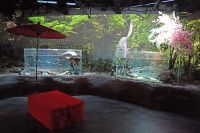春のお花見おでかけ情報！「水族館でお花見」イベント開催決定！期間限定「さくら水槽」や、お花見スポット、桜メニューも登場