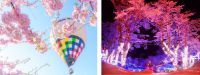 関東最大級2,500本の桜の祭典「さがみ湖桜まつり」3/19（土）開幕“見上げながら”“乗り物に乗って”“空から”様々なお花見体験を