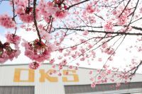 3,000 坪のオープンエア空間で１日限定『お花見マルシェ』＆国登録有形文化財ツアーを開催！