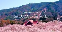 【桜ドローンプロジェクト2022】3月27日は「オンライン花見の日」日本全国桜をドローン映像で楽しもう！