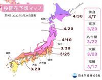 【桜開花予想2022】福岡で3月17日に開花前線がスタートし、この1週間で東日本・西日本の各地でも開花が観測されました（3月24日発表）