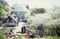 神戸の街並みと「山桜」。下界よりやや遅れ、山桜がまもなく見ごろです。ハーブ園各所にある約100本の山桜と「春のガーデン」や「小道」など様々なロケーションを楽しめます。