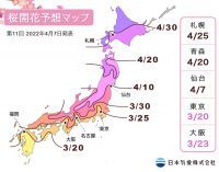 【桜開花予想2022】開花前線は4月4日に福島に到達し、現在は東北地方南部を北上中です（4月7日発表）
