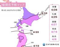 【桜開花予想2022】4月21日に函館でも開花が観測され、遂に開花前線は北海道へ到達しました。（4月21日発表）