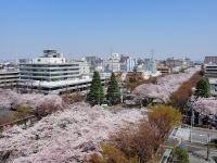 【相模原市】最新技術を駆使して満開の桜が楽しめる動画を作成しました
