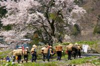 第43回塩の道祭りを長野県小谷村で開催。2022年5月3日（祝）