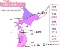 【桜開花予想2022】この一週間で札幌・室蘭でも開花が観測され、北海道では既に満開となる地点も出てきています（4月28日発表）