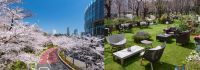 花々とアートに触れる東京ミッドタウンならではの春のお散歩体験を「MIDTOWN BLOSSOM 2023」開催
