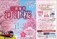 「三浦海岸桜まつりをデジタルきっぷでおトクに満足！」キャンペーンを開催