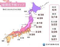 【桜開花予想2023】東京で3月18日頃に開花がスタートし、続いて甲府・高知でも開花し始める予想（2月16日発表）