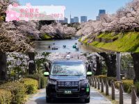 国際自動車(kmタクシー)東京の桜を楽しむ 「東京観光お花見タクシー2023」の予約を開始