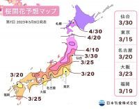 【桜開花予想2023】東京で3月15日頃に開花がスタートし、続いて3月17日頃には横浜で開花する予想に（3月9日発表）