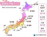 【桜開花予想2023】3月22日に東京で全国最初の満開が観測。今後一週間広い範囲で満開を迎え、開花前線も東北南部まで到達する見込みに（3月23日発表）