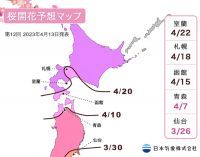 【桜開花予想2023】開花前線は既に北海道の南端に到達したと見られ、今後数日中に北海道からも開花の便りが届く見込みに（4月13日発表）