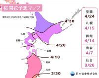 【桜開花予想2023】開花前線は北海道を北上中で、4月14日に函館、4月15日に札幌で開花が観測されました（4月20日発表）
