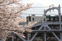 ※期間延長！【東武鉄道】隅田川橋梁「サクラトレイン」を運転します！