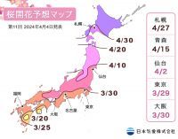 【桜開花予想2024】今後1週間で東日本・西日本や東北地方南部で続々と満開見頃を迎え、開花前線は東北地方北部まで到達する見込み（4月4日発表）