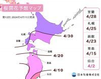 【桜開花予想2024】開花前線は東北地方を北上中で、今後1週間で青森まで到達する見込み（4月11日発表）