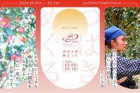 「大島桜ウィーク」初開催!300万本の椿が咲き誇る島で、一足早い春を楽しむ！「伊豆大島椿まつり・大島桜ウィーク」開催！