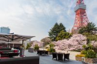 【東京プリンスホテル】桜と東京タワーの絶景を満喫できる「さくらめぐり 2025」を開催