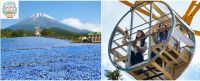 遊園地「ぐりんぱ」に天空のネモフィラ畑『スカイブルーガーデン』、透明ゴンドラ『フジビュー！！』オープン！