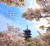 「そうだ 京都、行こう。」2026年春キャンペーンが2月10日（火）開始