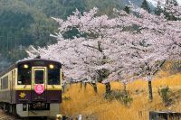 幸せの黄色に染まる春の花を愛でる、日光の鉄道で旅路を楽しくめぐろう。