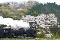 秩父鉄道のSLパレオエクスプレス予約開始！3/20(金・祝)「SLファーストラン号」運行