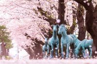 【青森・十和田】桜の開花前倒しに伴い「十和田市春まつり」の一部イベントを4月10日(金)より先行開催！