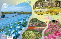 【茨城・ひたち海浜公園】開園35周年！春の特別イベント「Flowering 2026」が3月20日より開催中