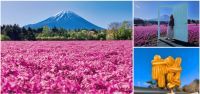 【富士芝桜まつり】芝桜×富士山の絶景をさらに満喫！今年注目の最新フォトスポットをご紹介
