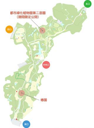 椿の見どころMAP