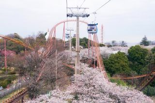 ゴンドラスカイシャトル(昨年の様子)