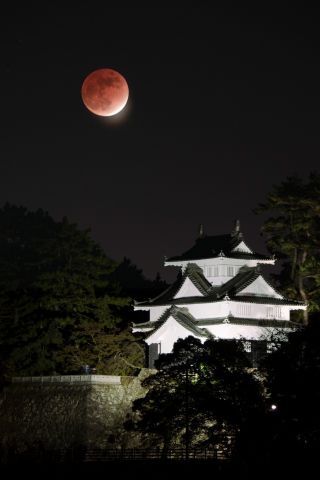 吉田城の夜景