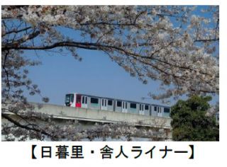 日暮里・舎人ライナーと桜