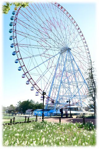 葛西臨海公園のスイセン（令和6年2月の様子）