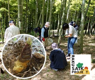 たけのこ掘り体験 イメージ