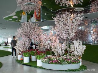 日中のフォトスポットが...