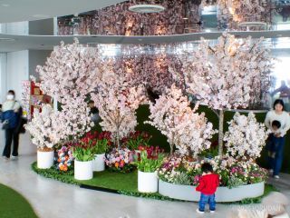 春を一層感じるメインスポット